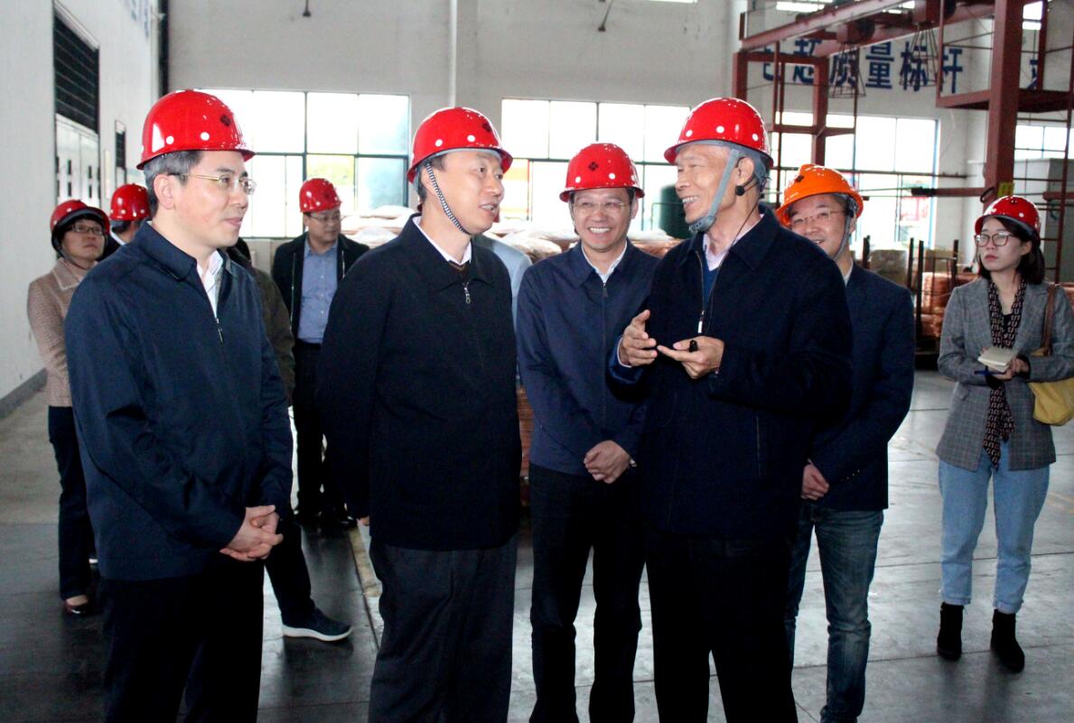 江苏省副省长马秋林一行来亚美AM8AG电缆调研