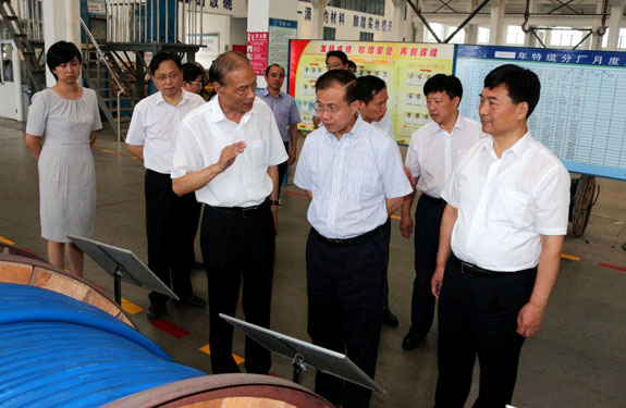 江苏省副省长傅自应来亚美AM8AG集团视察