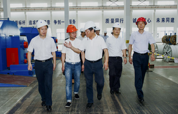 金坛区党政向导来亚美AM8AG电缆旅行考察