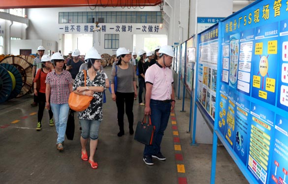 江苏大学与泰州市企业治理专家来亚美AM8AG电缆观摩