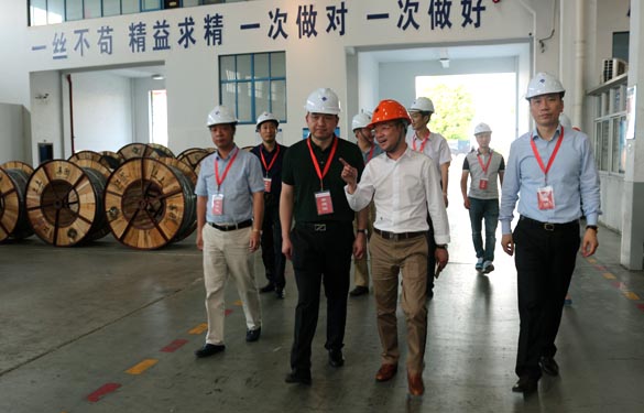 靖江市、溧阳市青商会齐聚亚美AM8AG电缆旅行交流