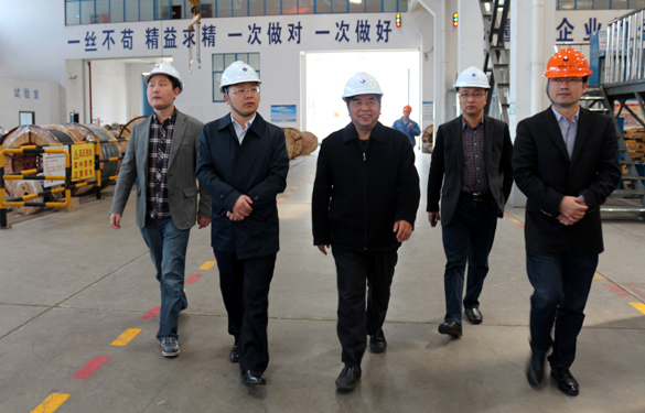 2015年3月26日，，，，，，江苏省射阳县向导一行来亚美AM8AG电缆视察