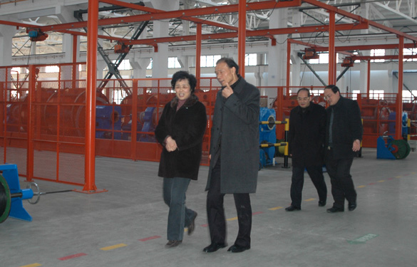 江苏省经信委副主任顾瑜芳一行来亚美AM8AG调研