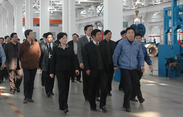 安徽省天长市党政代表团百余人来亚美AM8AG集团旅行考察