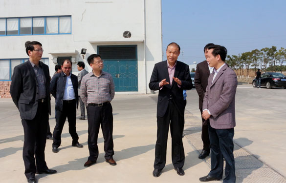 溧阳市代市长蒋锋一行来亚美AM8AG集团督查新开工项目