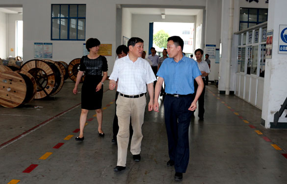 常州市人大向导一行来亚美AM8AG集团调研