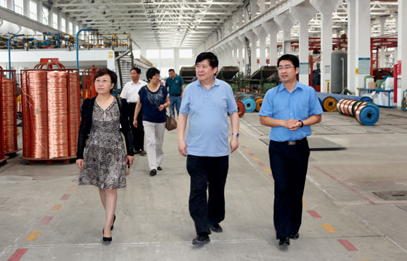 常州市新北区人大向导一行来亚美AM8AG集团调研