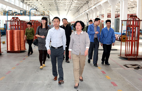 江苏省环保厅总工程师刘建琳来亚美AM8AG集团调研