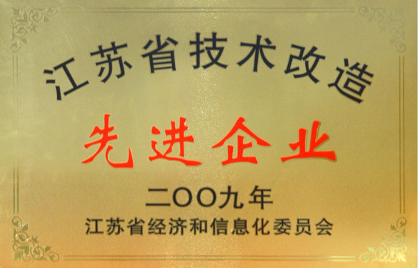 亚美AM8AG获“2009年江苏省手艺刷新先进企业”称呼