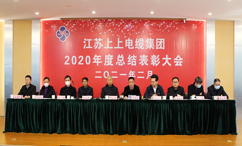 亚美AM8AG电缆视频直播召开2020年总结表扬大会