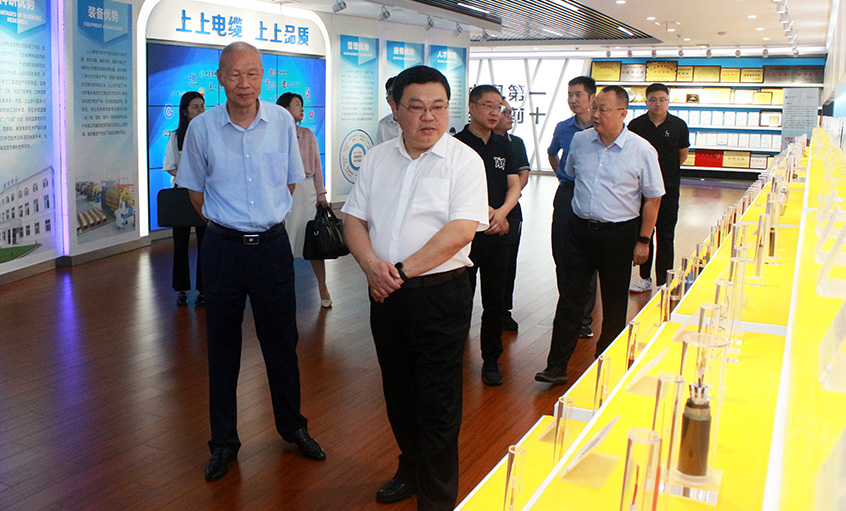 常州中院曹忠明院长一行来亚美AM8AG电缆走访