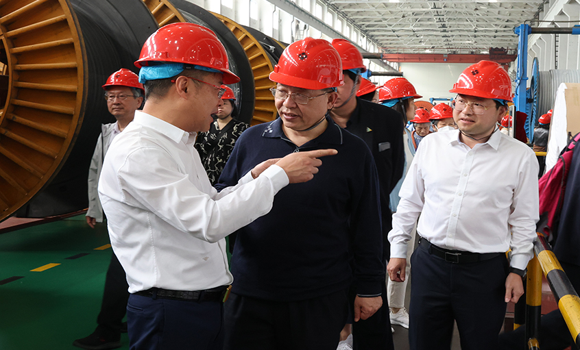 14位两院院士和专家学者到访亚美AM8AG电缆