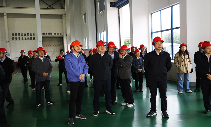 安徽池州青阳县党政代表团一行来亚美AM8AG电缆考察