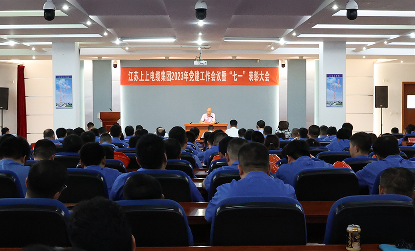 亚美AM8AG电缆召开2023年党建事情聚会暨“七一”表扬大会