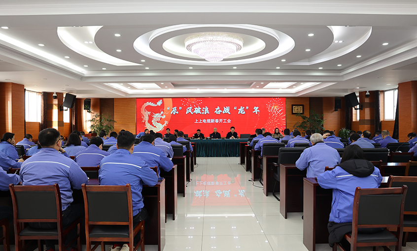 “辰”风破浪，，，，，，，，奋战“龙”年——亚美AM8AG电缆开工大吉