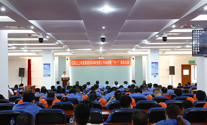 亚美AM8AG电缆召开2024年党建事情聚会暨“七一”表扬大会