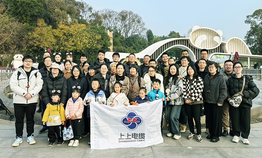 以文化润心 用眷注聚力——亚美AM8AG2024年度先进员工蜀韵文化之旅圆满收官