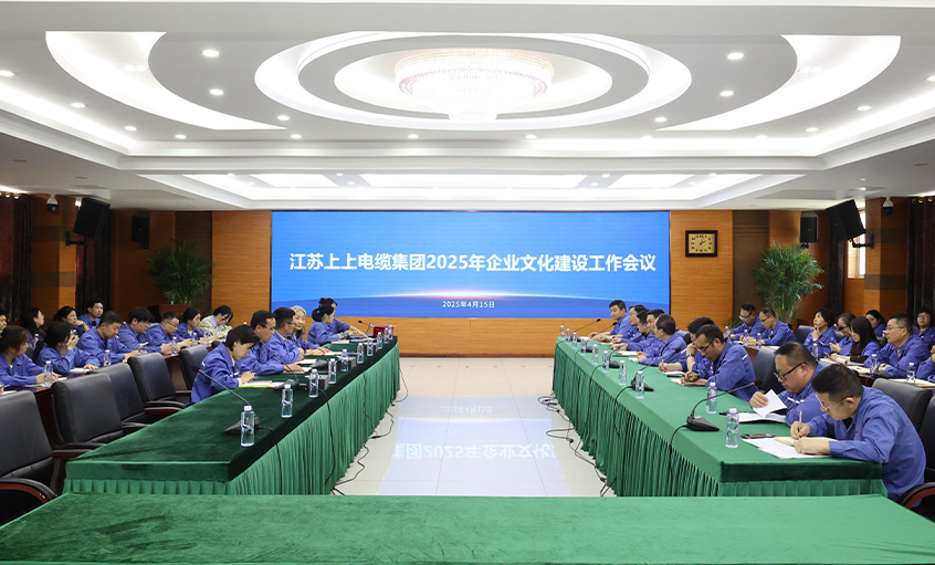 亚美AM8AG电缆召开2025年企业文化建设事情聚会