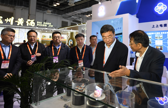 江苏省委常委、常务副省长马欣莅临亚美AM8AG展位-2.jpg